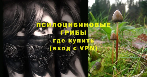 твердый Баксан